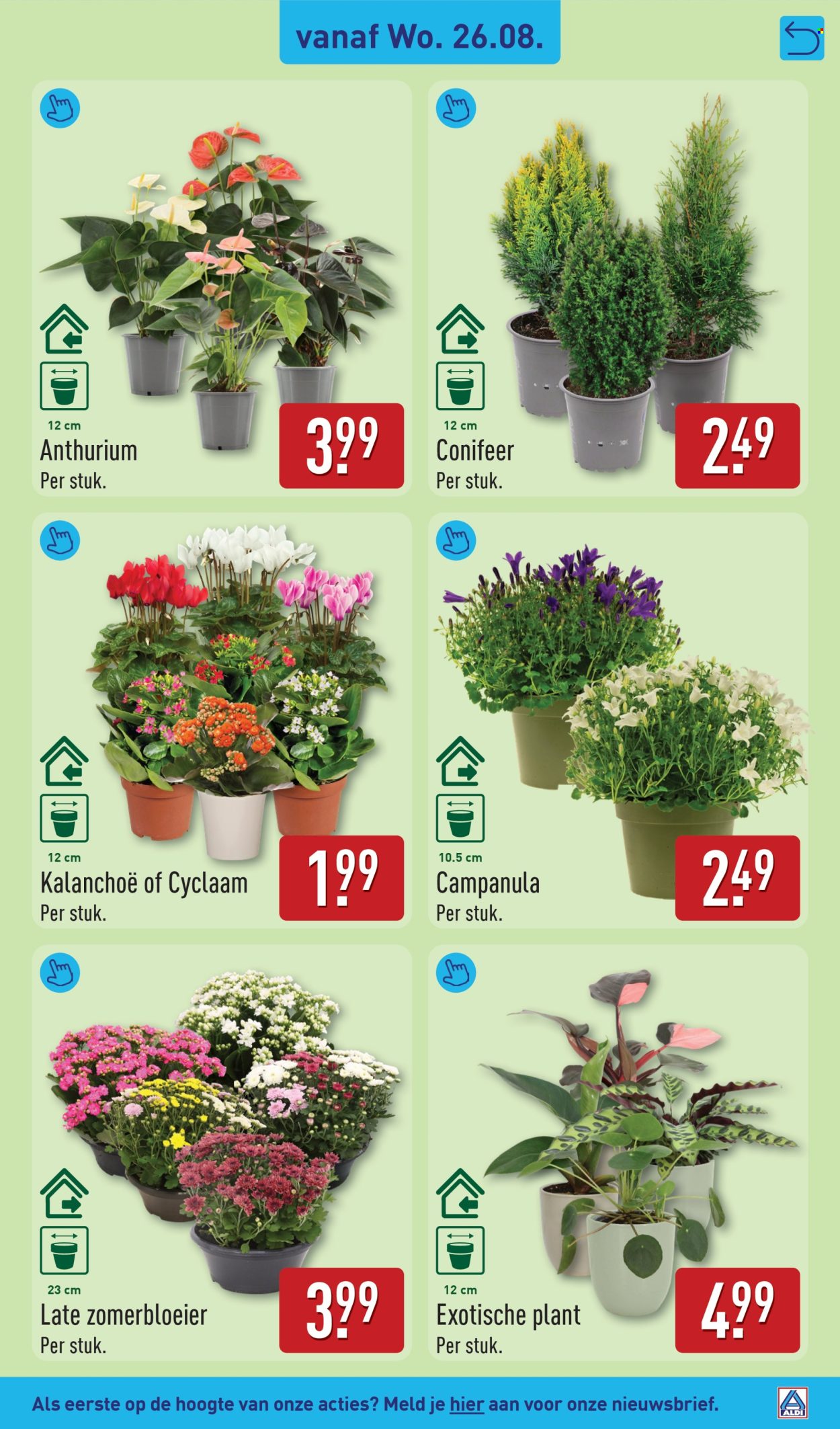 Aldi-aanbieding - 24.8.2026 - 30.8.2026. Pagina 47
