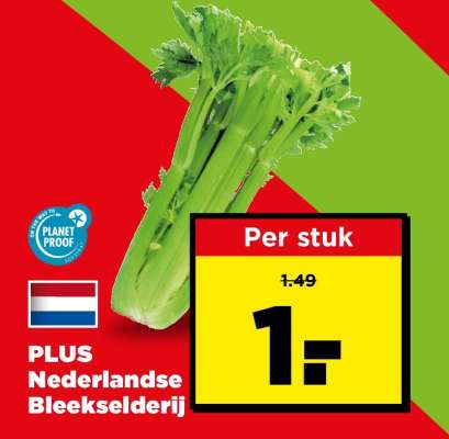 PLUS Nederlandse Bleekselderij