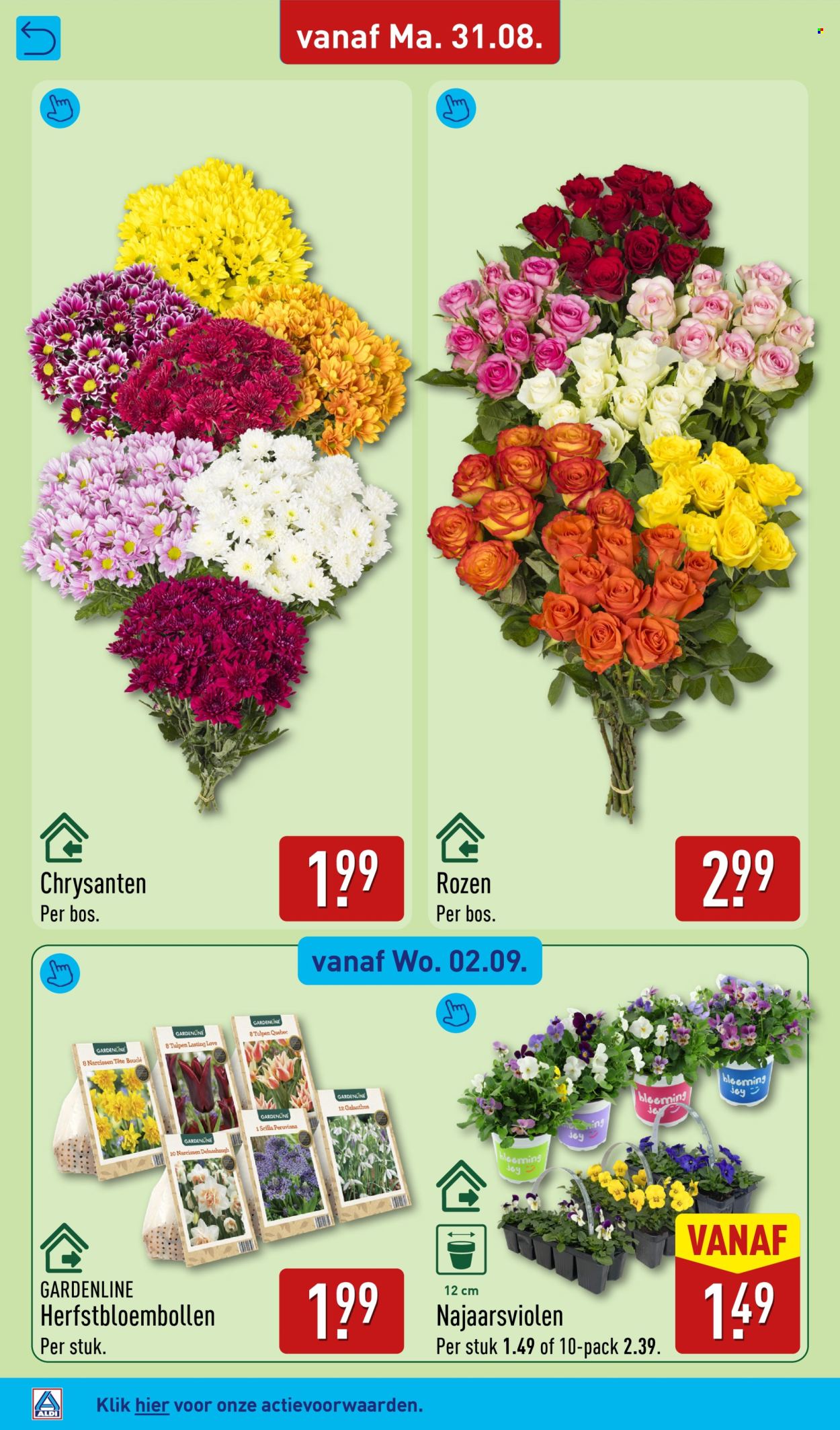 Aldi-aanbieding - 31.8.2026 - 6.9.2026. Pagina 54
