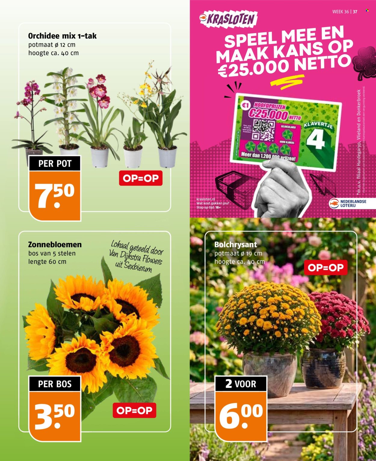 Poiesz-aanbieding - 30.8.2026 - 5.9.2026. Pagina 37