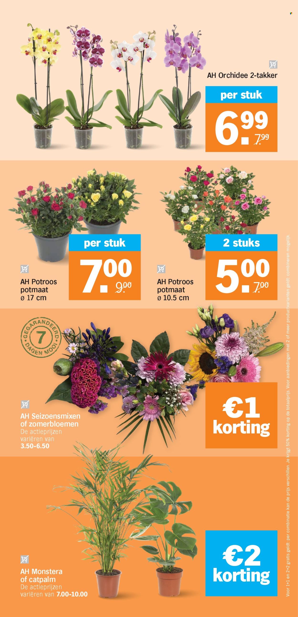 Albert Heijn-aanbieding - 31.8.2026 - 6.9.2026. Pagina 37