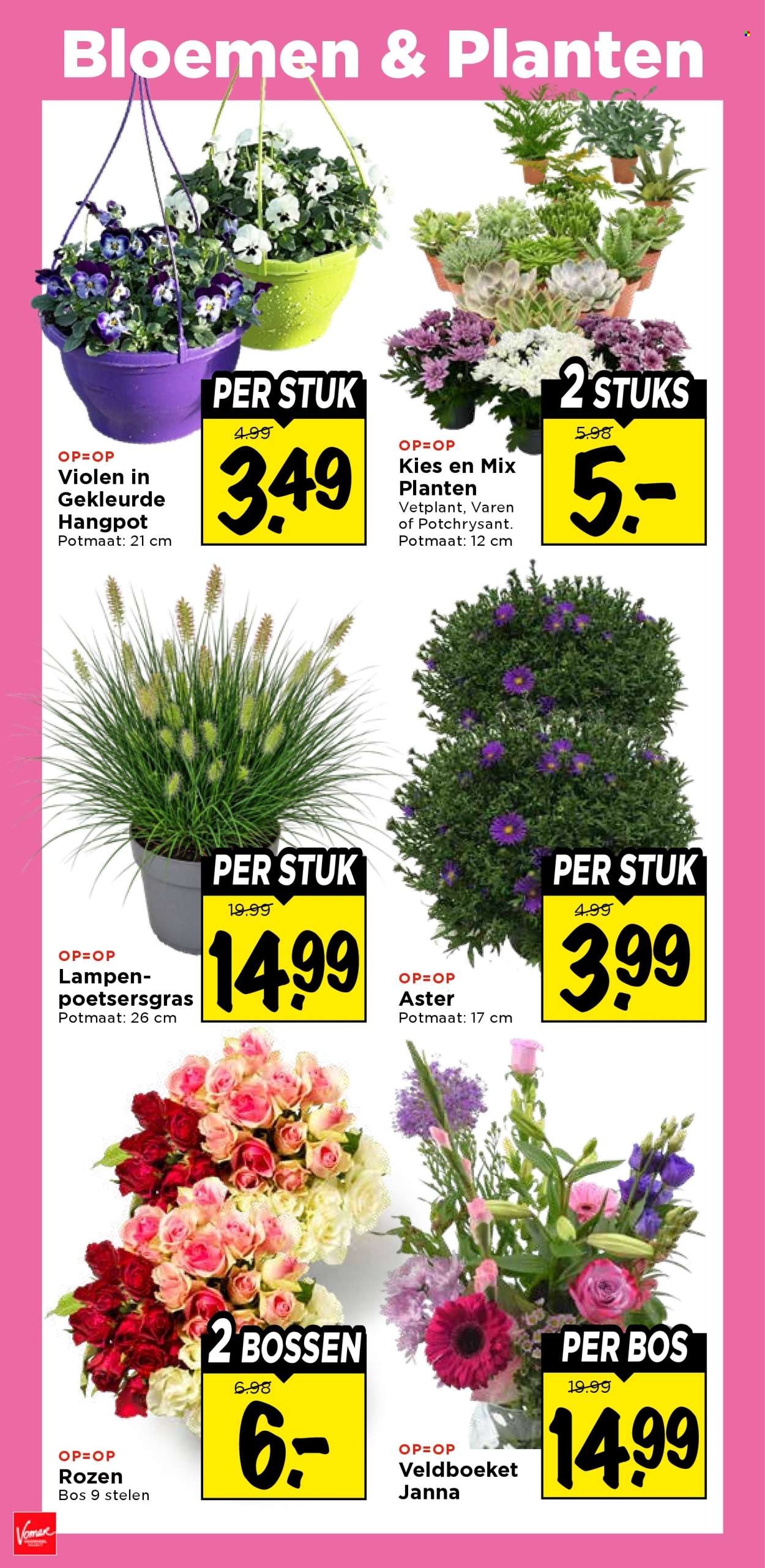 Vomar-aanbieding - 30.8.2026 - 5.9.2026. Pagina 34