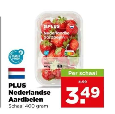 PLUS Nederlandse Aardbeien