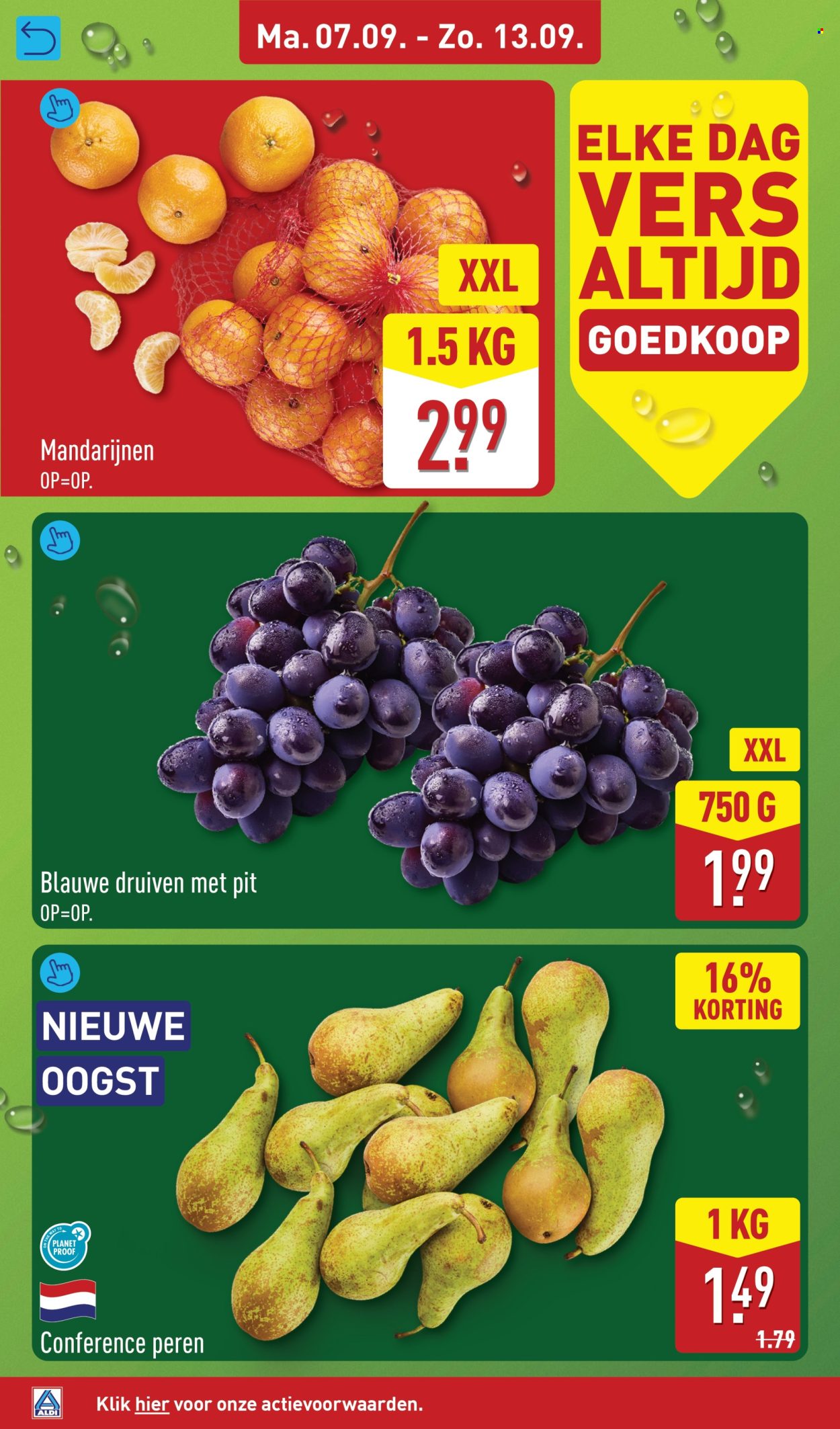 Aldi-aanbieding - 7.9.2026 - 13.9.2026. Pagina 4