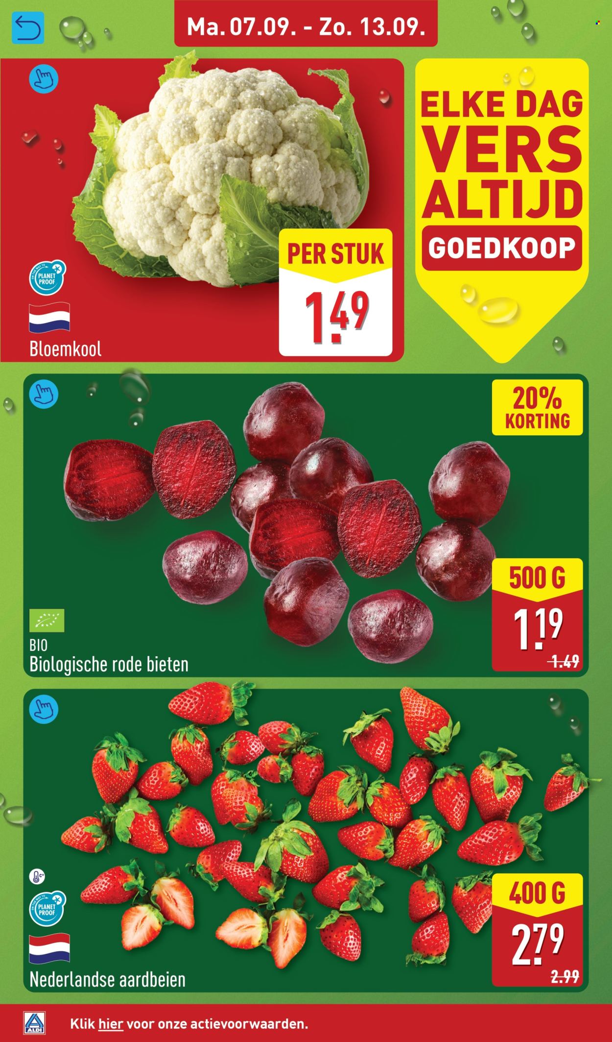 Aldi-aanbieding - 7.9.2026 - 13.9.2026. Pagina 6