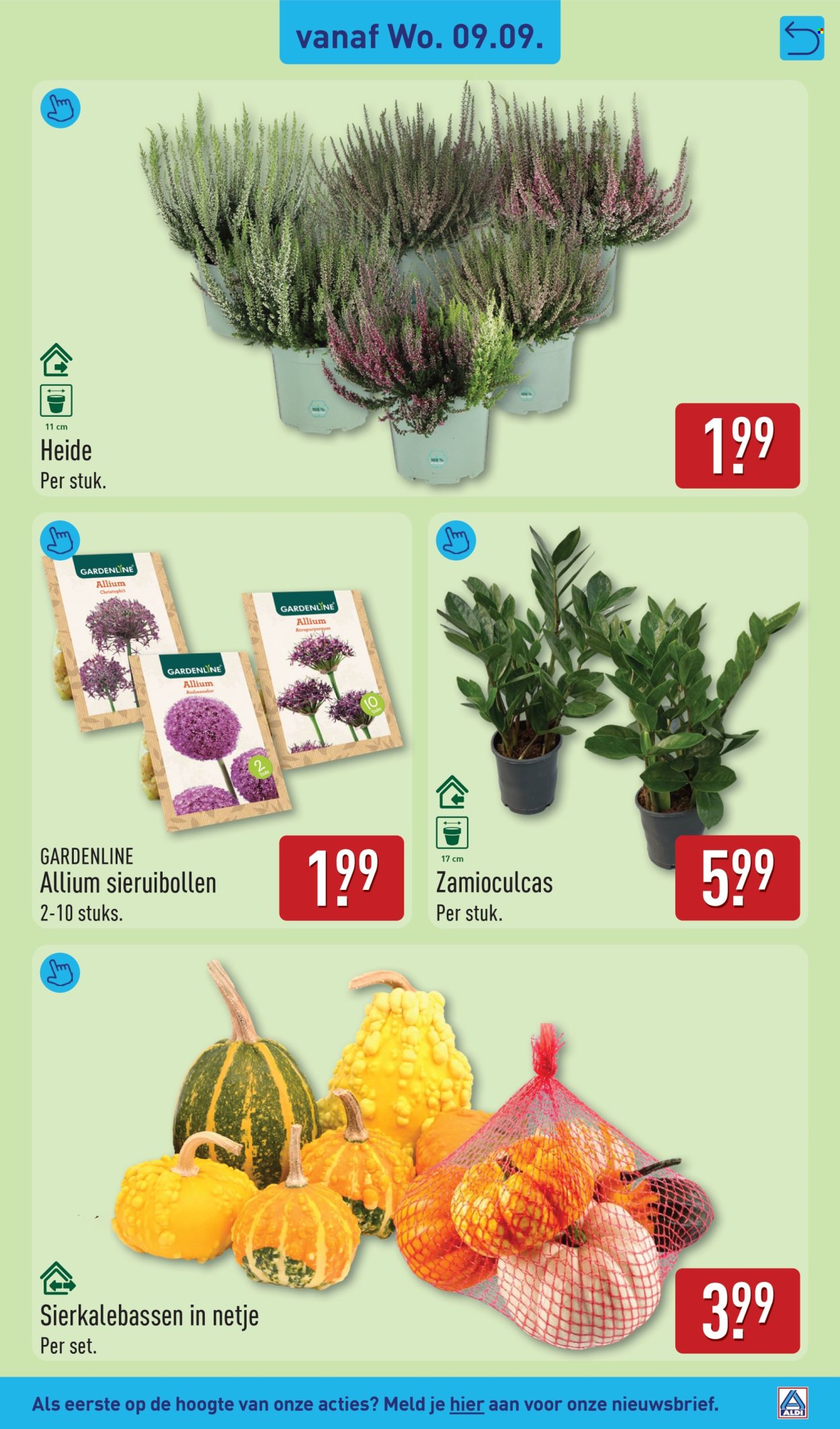 Aldi-aanbieding - 7.9.2026 - 13.9.2026. Pagina 35