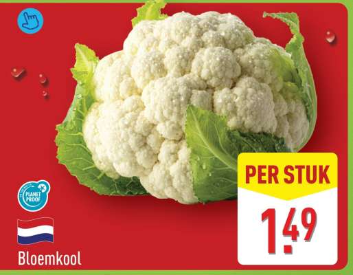 Bloemkool