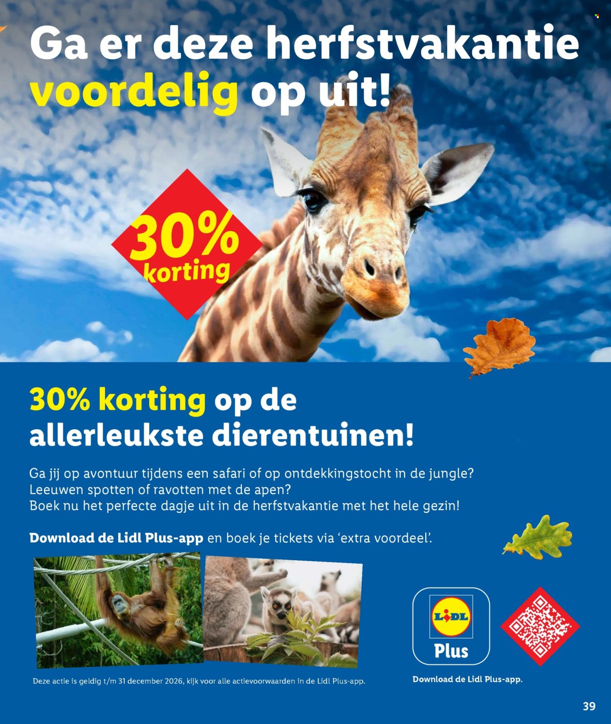Lidl-aanbieding - 23.9.2026 - 1.11.2026. Pagina 39