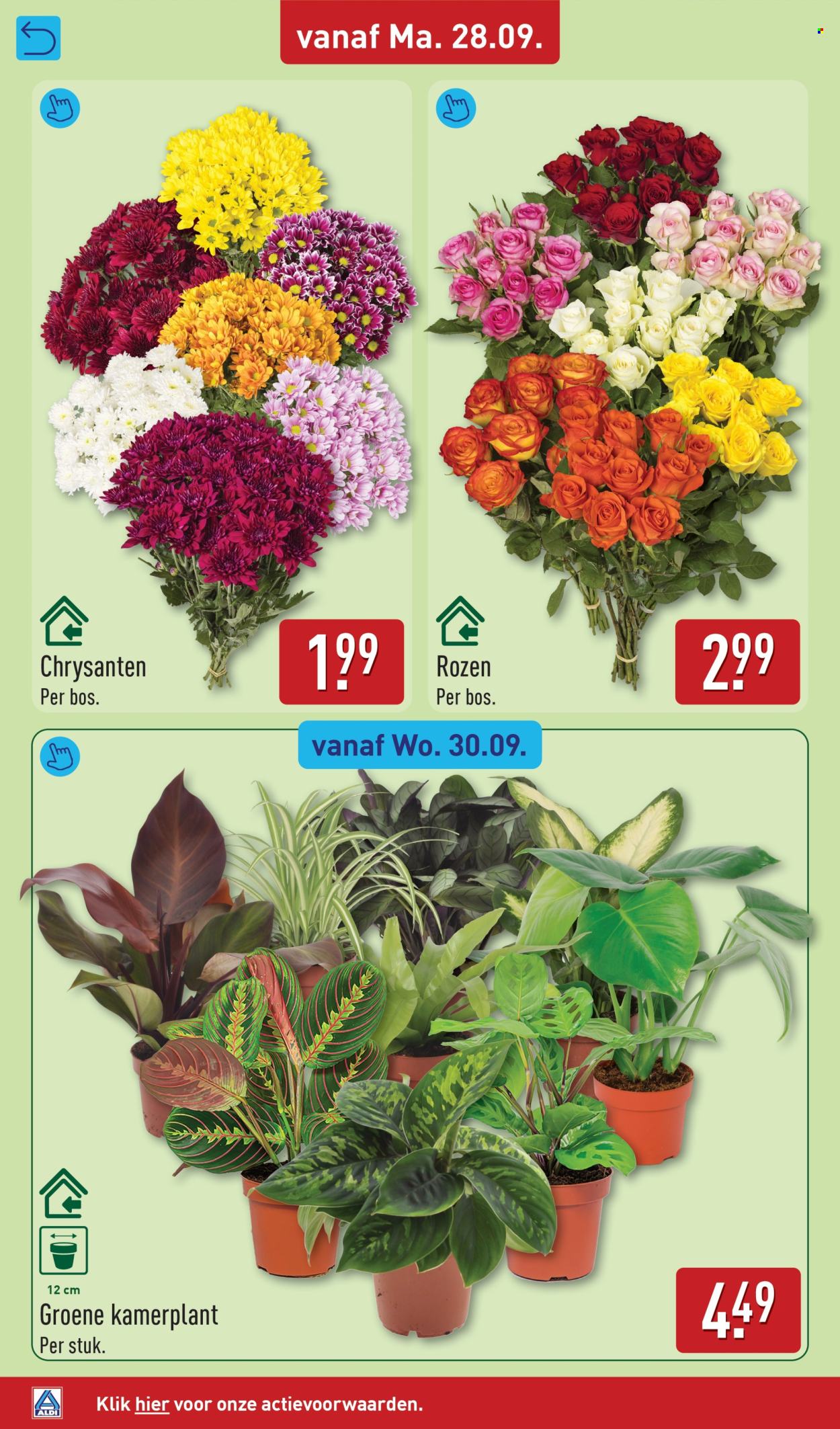 Aldi-aanbieding - 28.9.2026 - 4.10.2026. Pagina 36