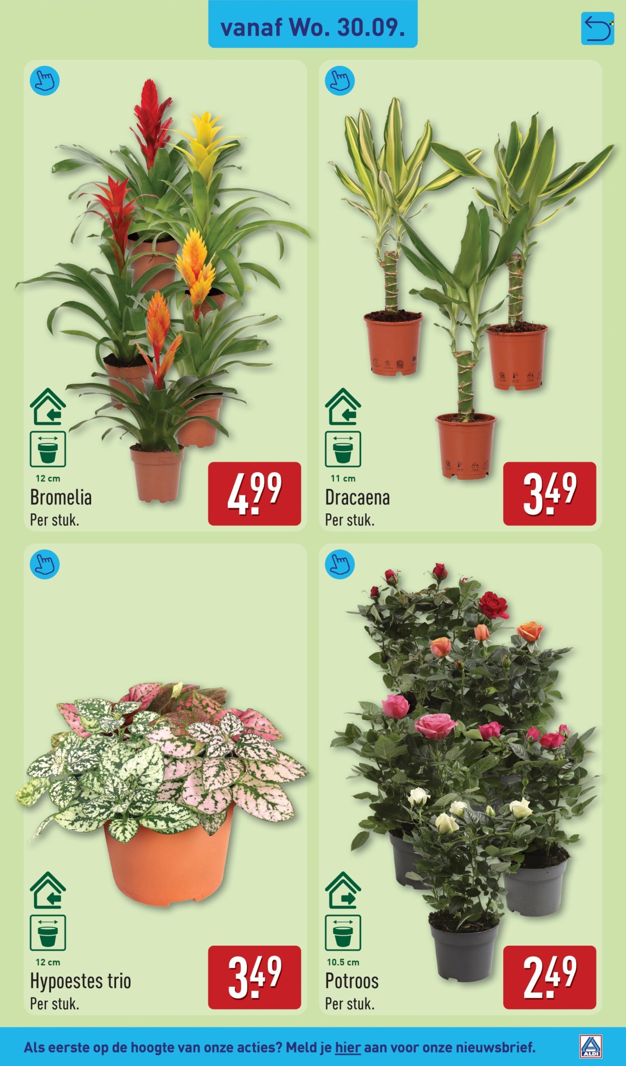 Aldi-aanbieding - 28.9.2026 - 4.10.2026. Pagina 37