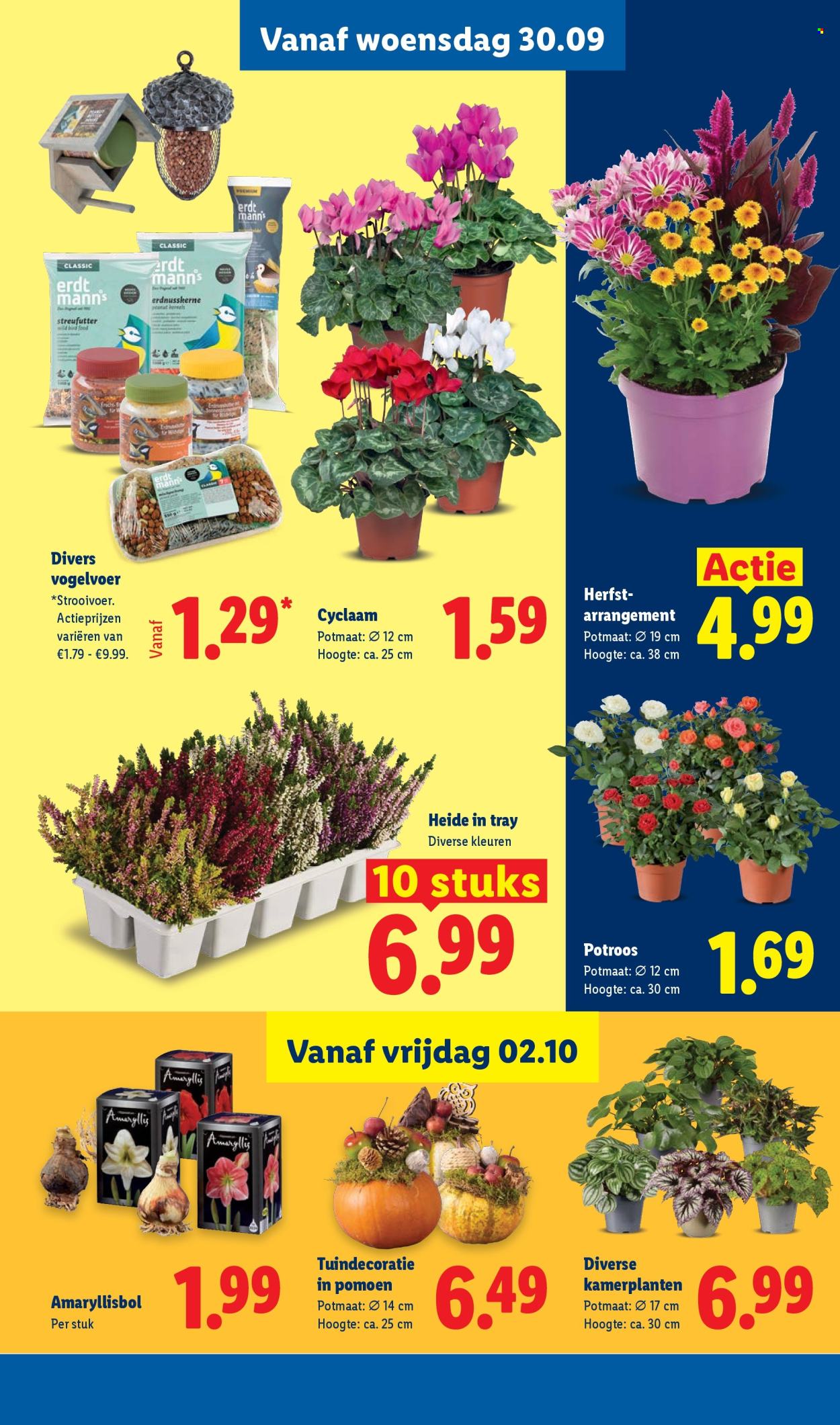 Lidl-aanbieding - 28.9.2026 - 4.10.2026. Pagina 22