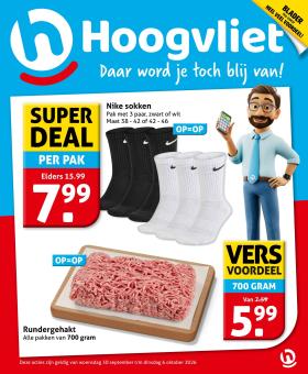 Hoogvliet