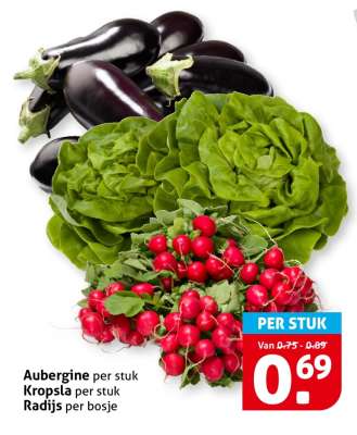 Aubergine