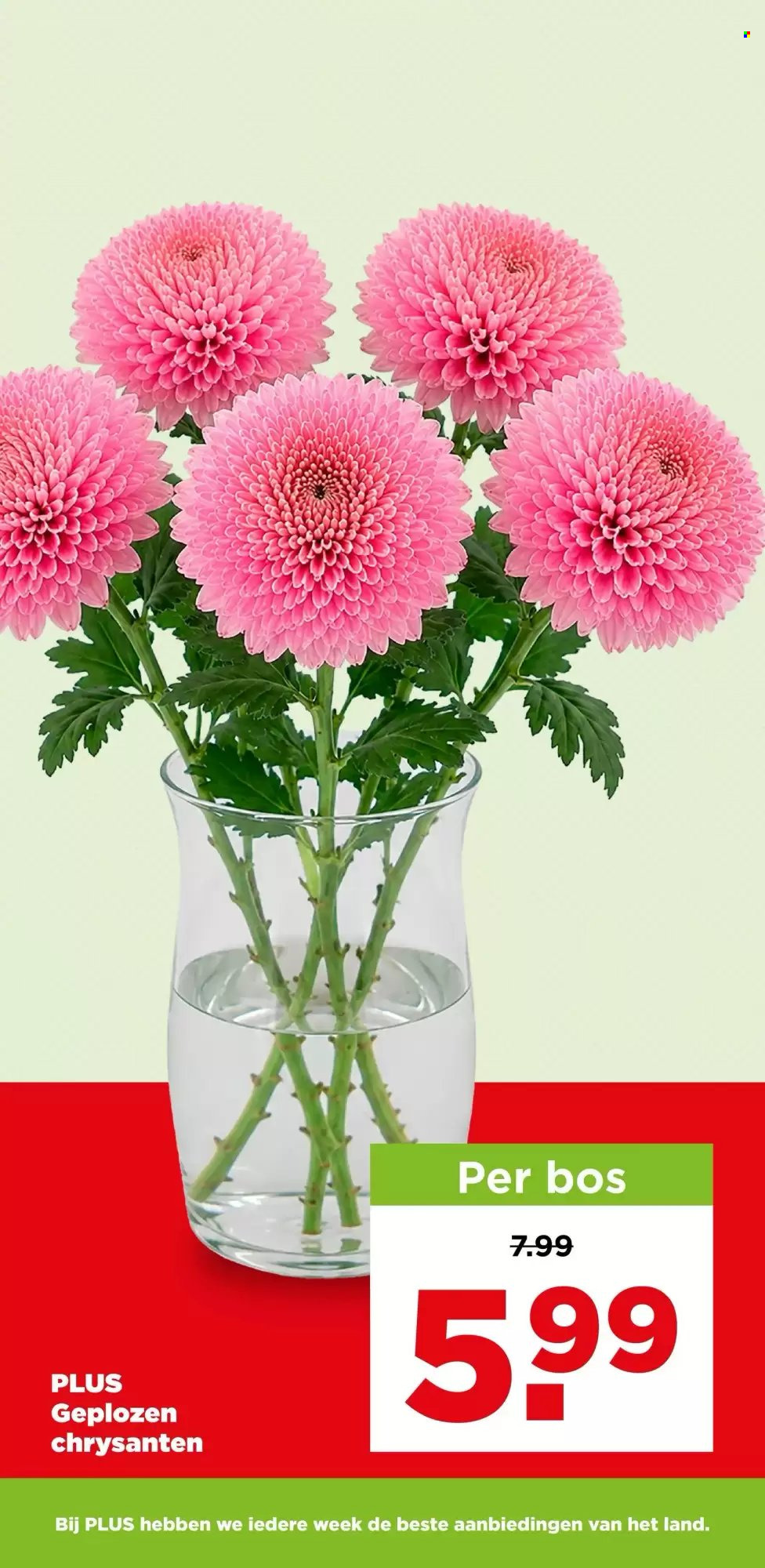 Plus-aanbieding - 30.9.2026 - 6.10.2026. Pagina 43
