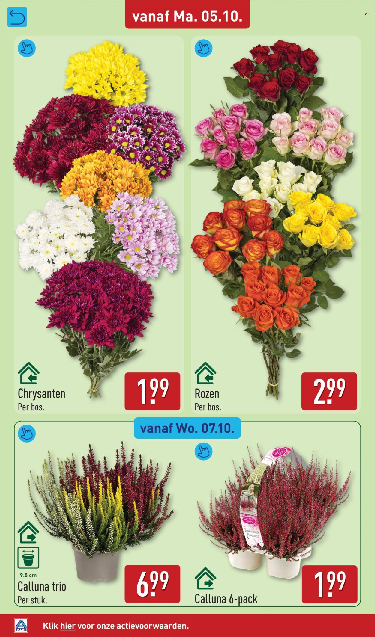 Aldi-aanbieding - 5.10.2026 - 11.10.2026. Pagina 38