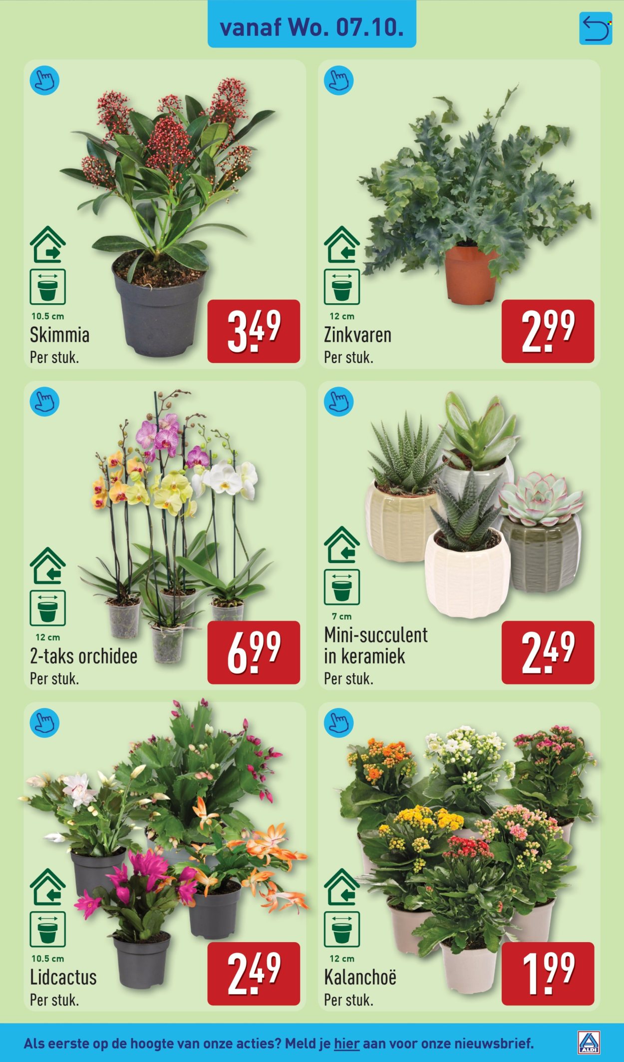 Aldi-aanbieding - 5.10.2026 - 11.10.2026. Pagina 39
