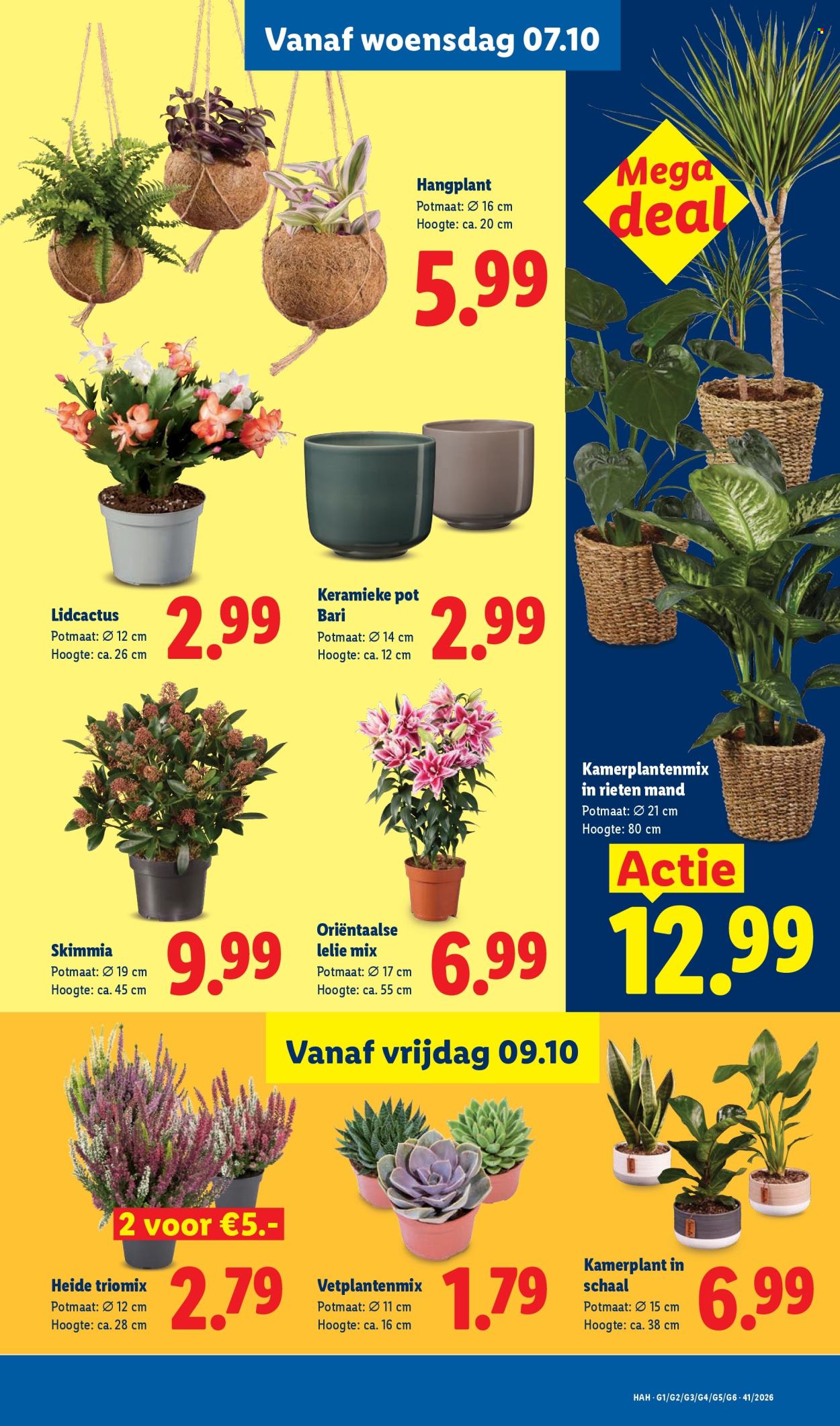 Lidl-aanbieding - 5.10.2026 - 11.10.2026. Pagina 13