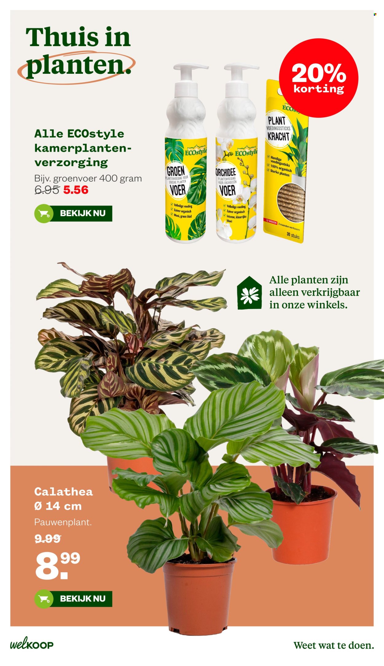 Welkoop-aanbieding - 5.10.2026 - 18.10.2026. Pagina 26