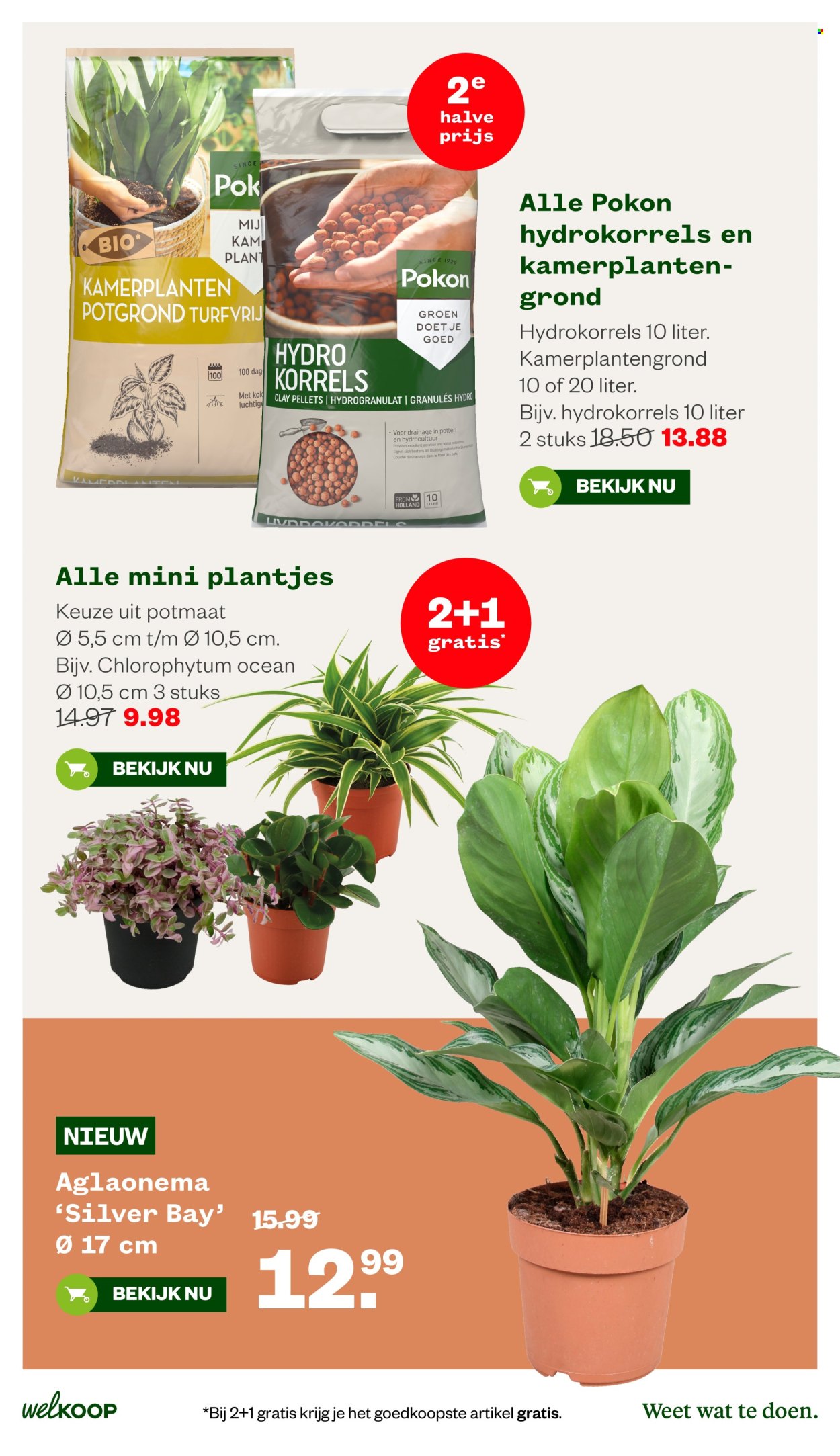 Welkoop-aanbieding - 5.10.2026 - 18.10.2026. Pagina 27