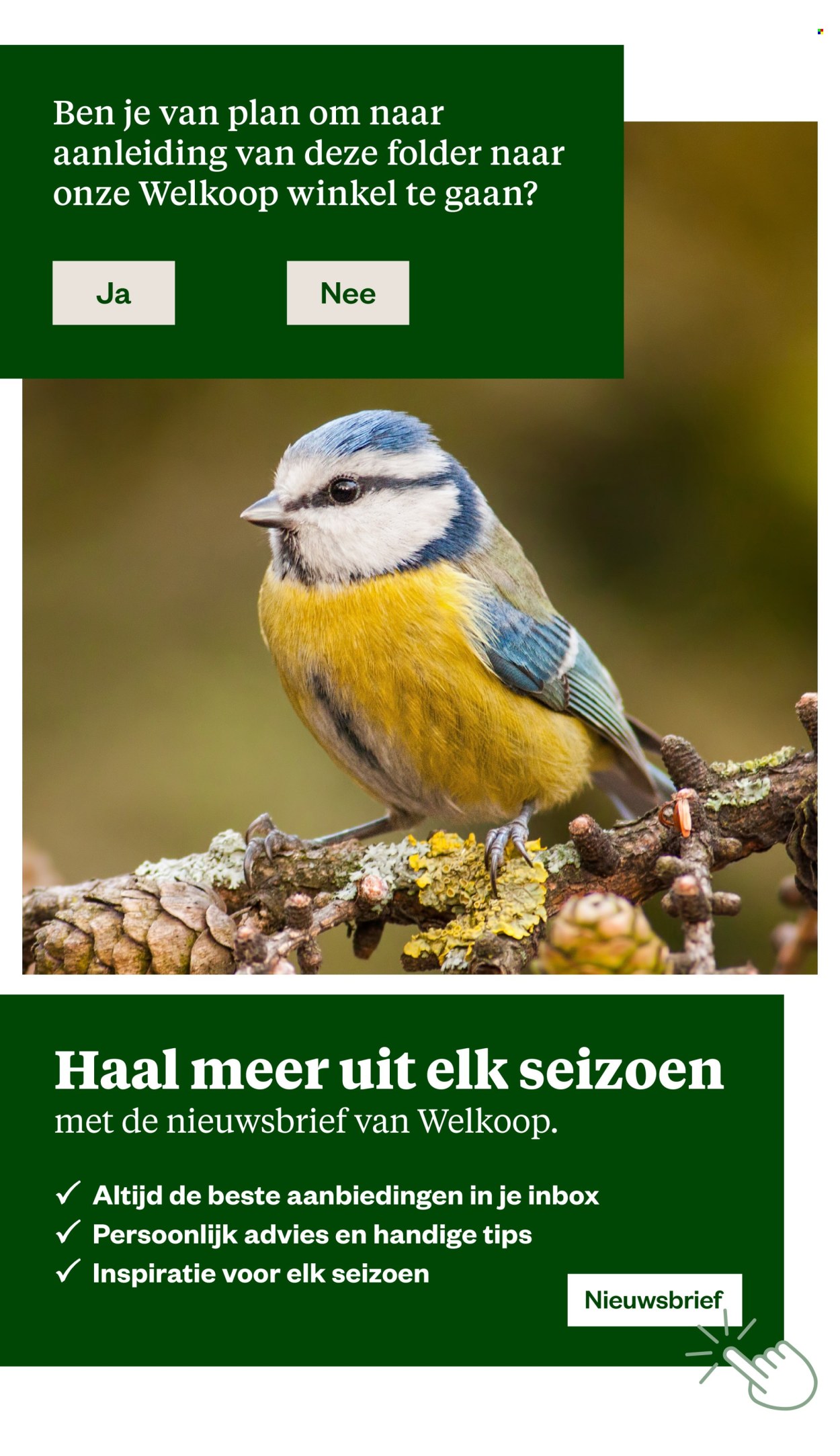 Welkoop-aanbieding - 5.10.2026 - 18.10.2026. Pagina 42