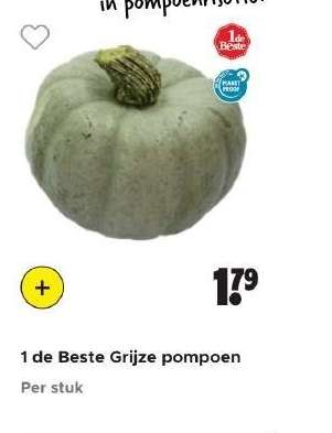 1 de Beste Grijze pompoen