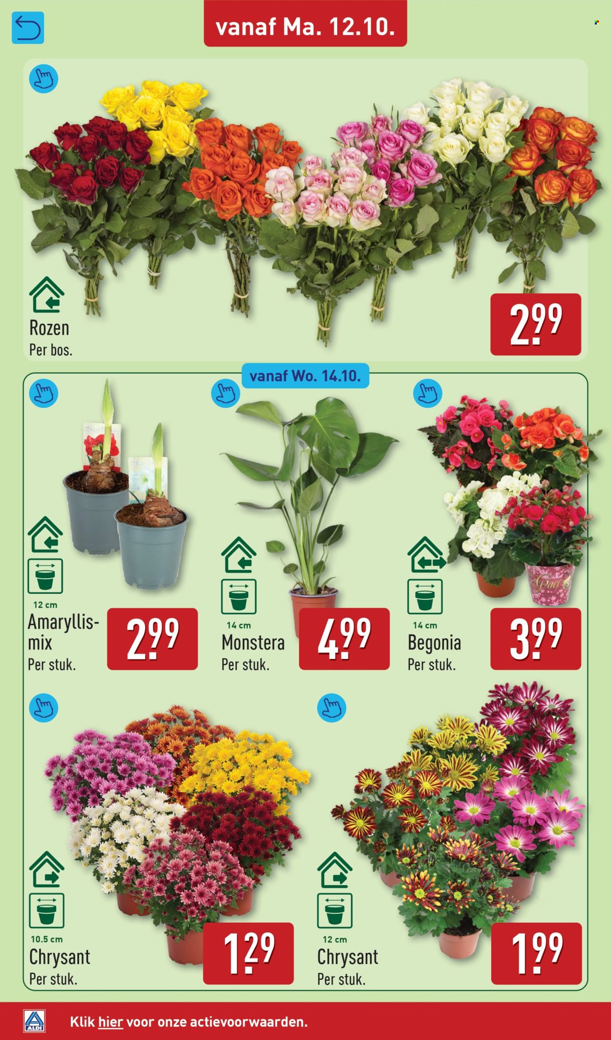 Aldi-aanbieding - 12.10.2026 - 18.10.2026. Pagina 36