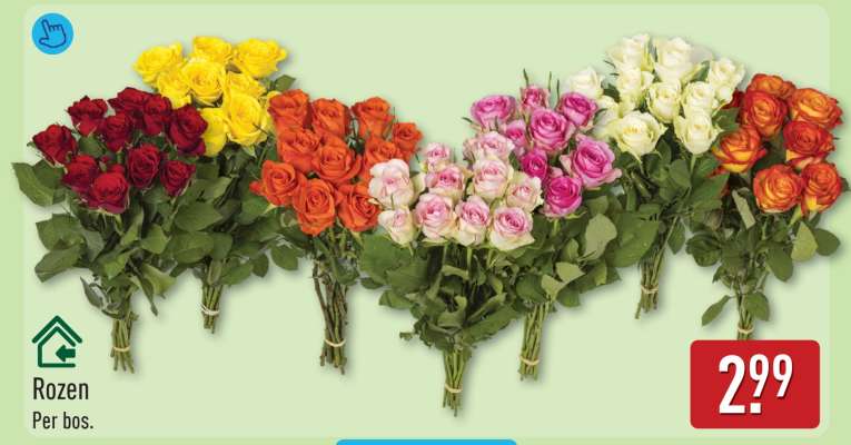 Rozen