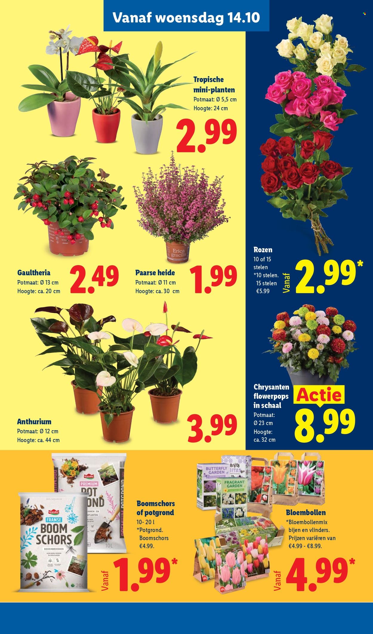 Lidl-aanbieding - 12.10.2026 - 18.10.2026. Pagina 25
