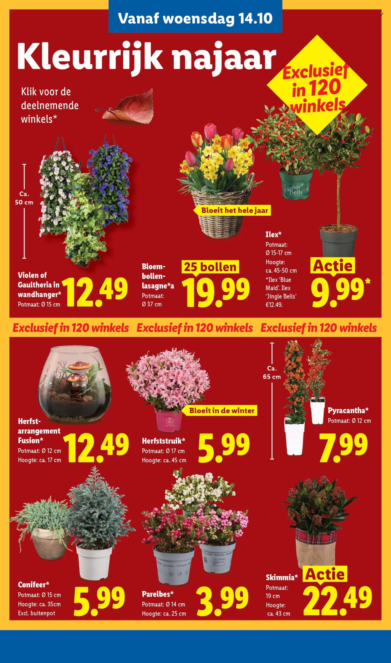 Lidl-aanbieding - 12.10.2026 - 18.10.2026. Pagina 26
