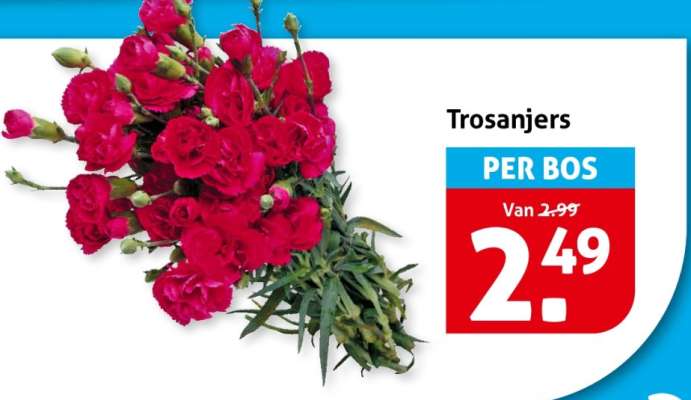 Trosanjers