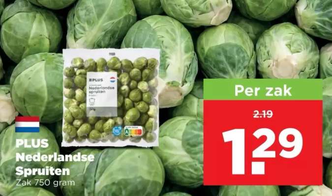 PLUS Nederlandse Spruiten