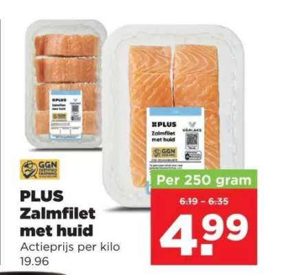 PLUS Zalmfilet met huid