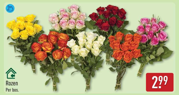 Rozen