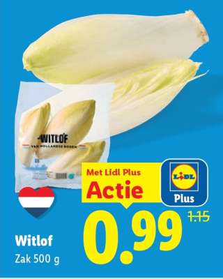 Witlof