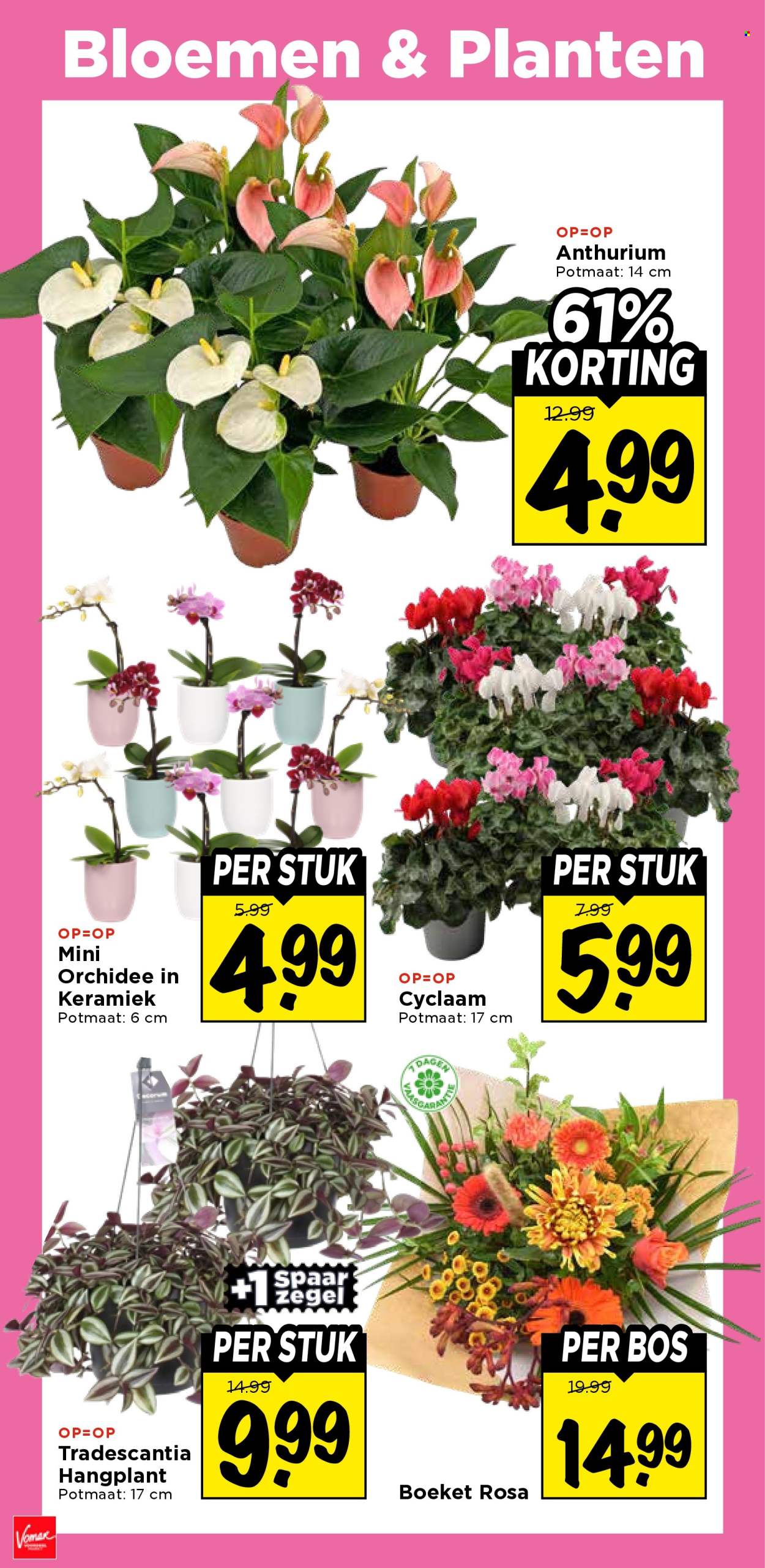 Vomar-aanbieding - 18.10.2026 - 24.10.2026. Pagina 37